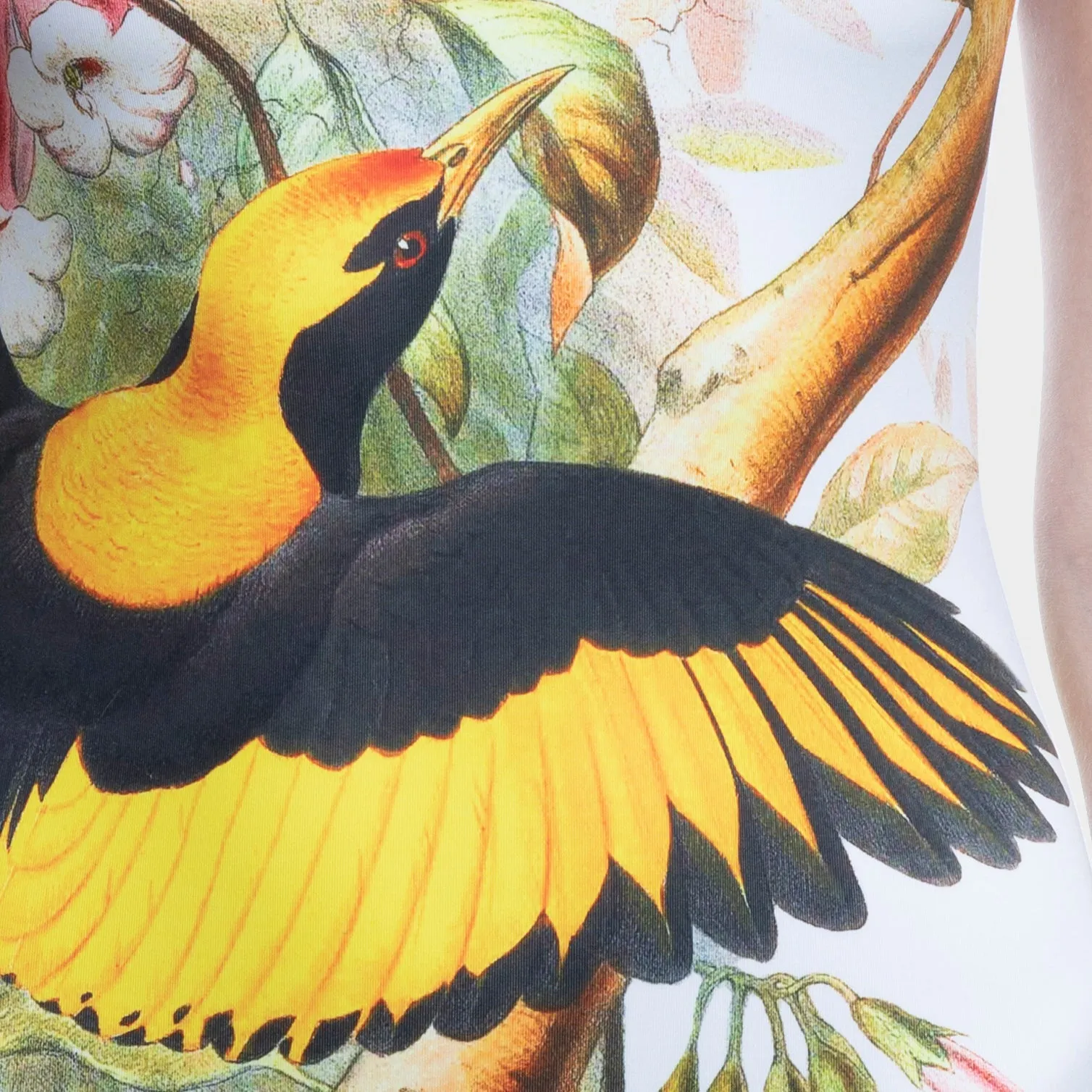 BIRD OF PARADISE - SWIMSUIT