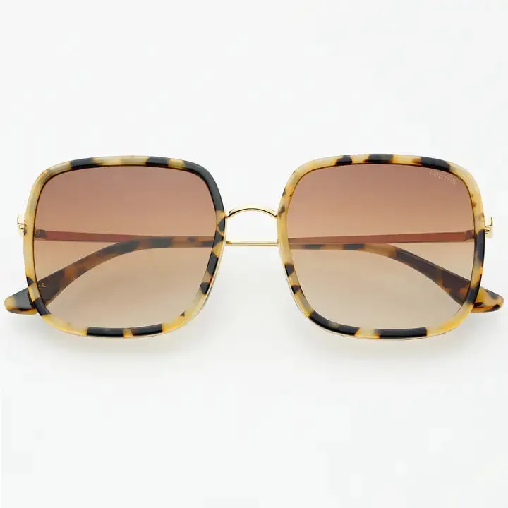 cosmo sunglasses