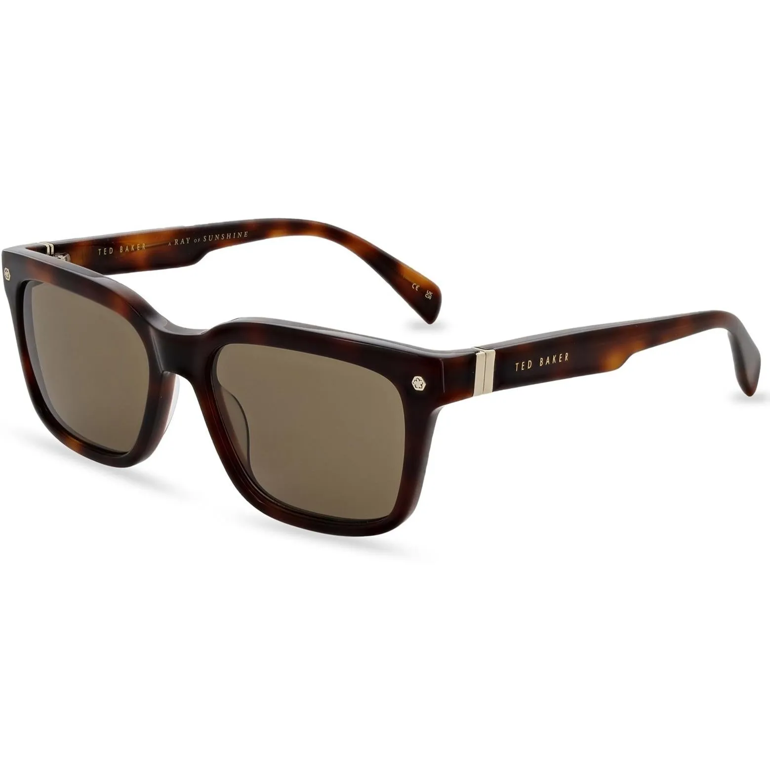Ted Baker George Sunglasses Shoes