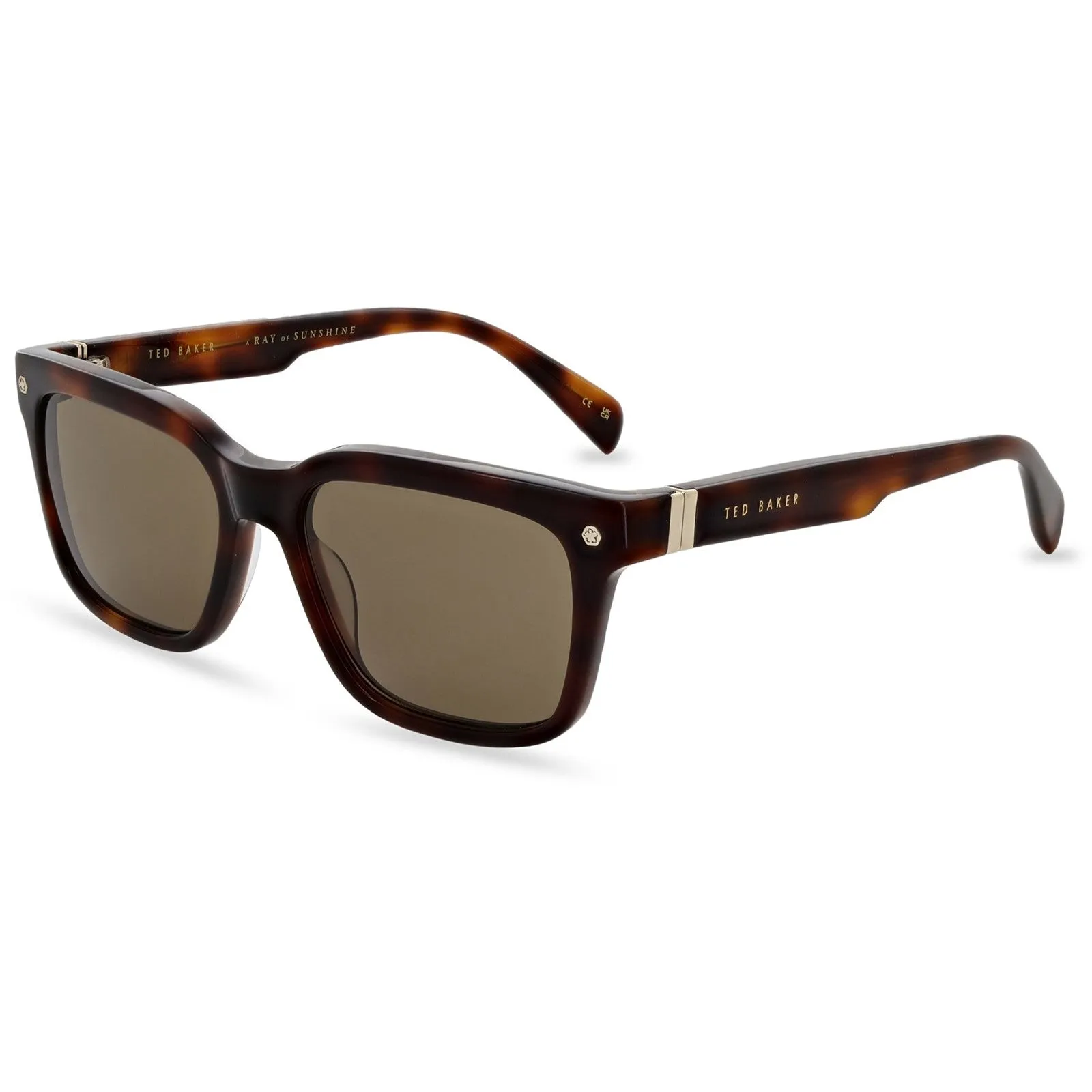 Ted Baker George Sunglasses Shoes